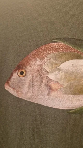 ✨️❤️🐠 @nicethingspalomas

#shoplocal #leupzigcity #Leipzig #fish #magical #ocean #sea #reeloftheday #spanish #fairtrade #nicethings #art #unique